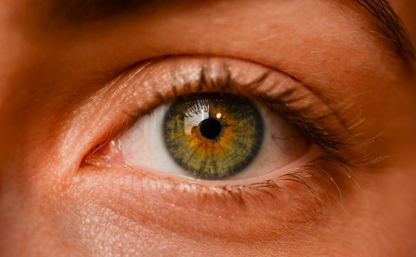 Oczy to szczególny organ. To właśnie dzięki nim widzimy.